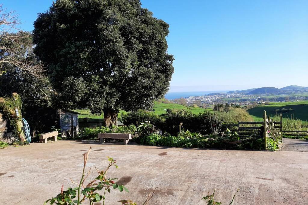 Casa Da Mediana Leilighet Ribeira Grande Eksteriør bilde